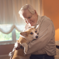 Elderly Man holding therapy dog.
